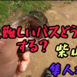 【埼玉バス釣り】柴山沼、隼人堀川バス釣り🎣