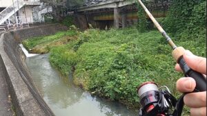 でるか？山梨の信玄エビに挑む！