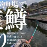 管理釣り場でニジマス釣り！