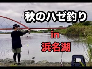 【ハゼ釣り】秋の浜名湖でハゼ釣り☆☆浜名湖ハゼ釣りメッカ☆☆