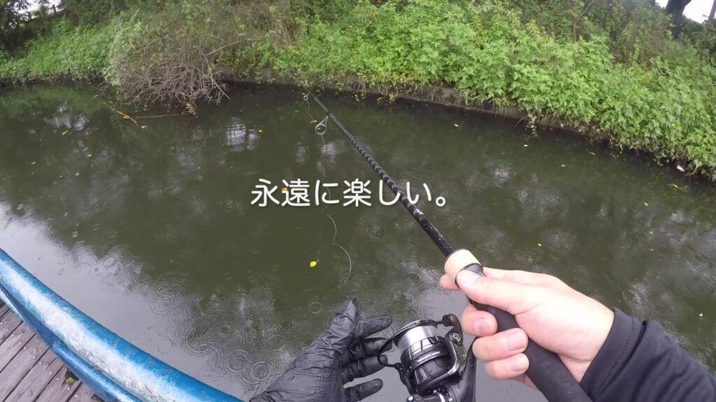 【釣り】近藤沼