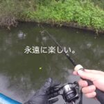 【釣り】近藤沼