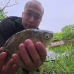 太田ヶ谷沼でフナ釣り