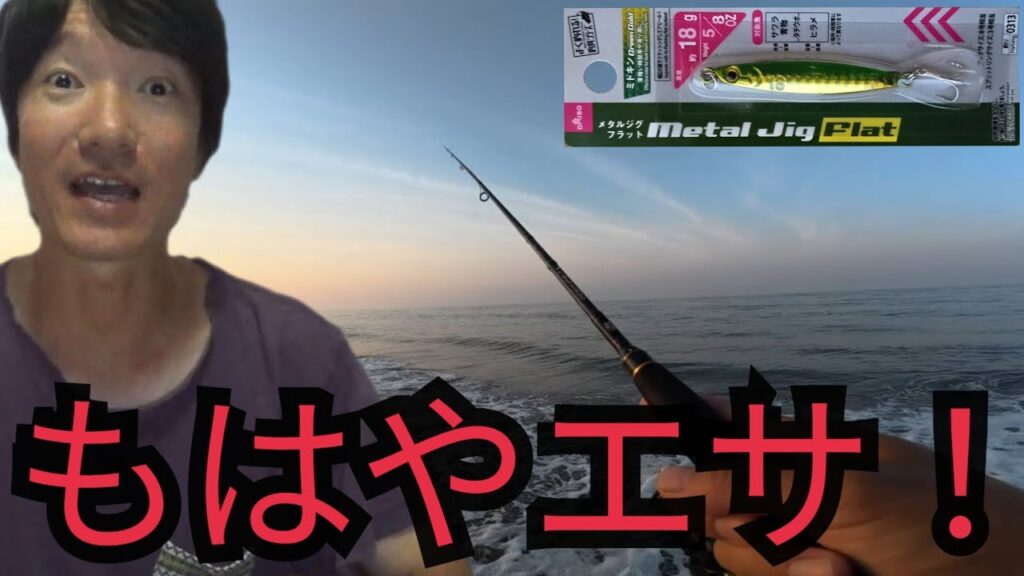 遠州灘サーフで釣りしたらダイソージグがマッチザベイトすぎて⋯