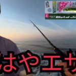 遠州灘サーフで釣りしたらダイソージグがマッチザベイトすぎて⋯