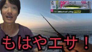 遠州灘サーフで釣りしたらダイソージグがマッチザベイトすぎて⋯