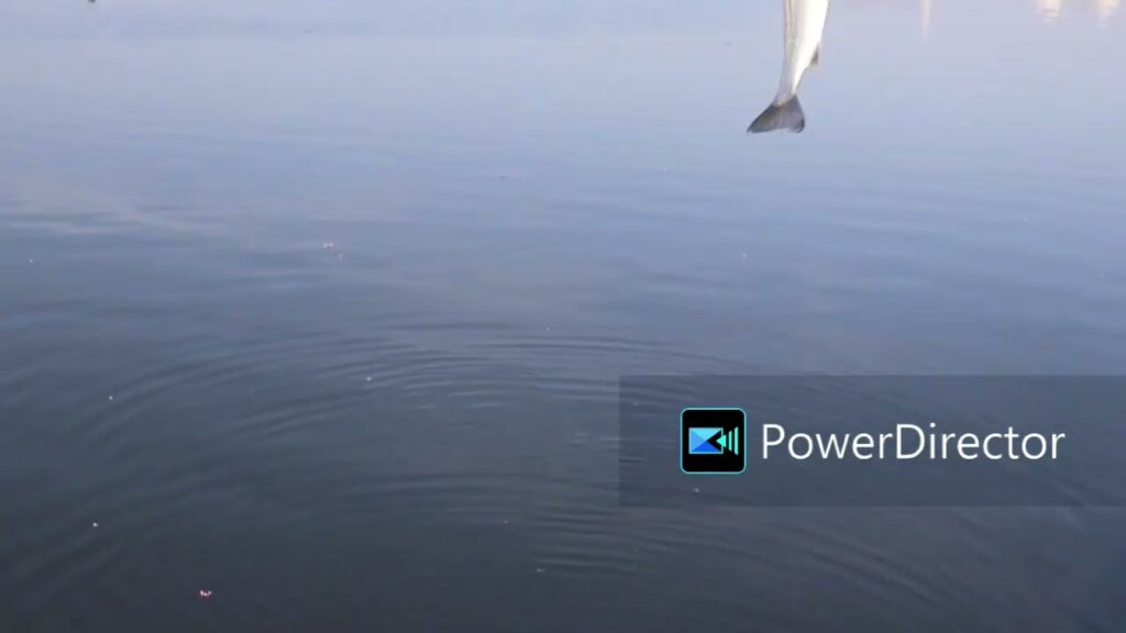 【浜名湖釣り】世界陸上より普通にハゼ釣りが好き