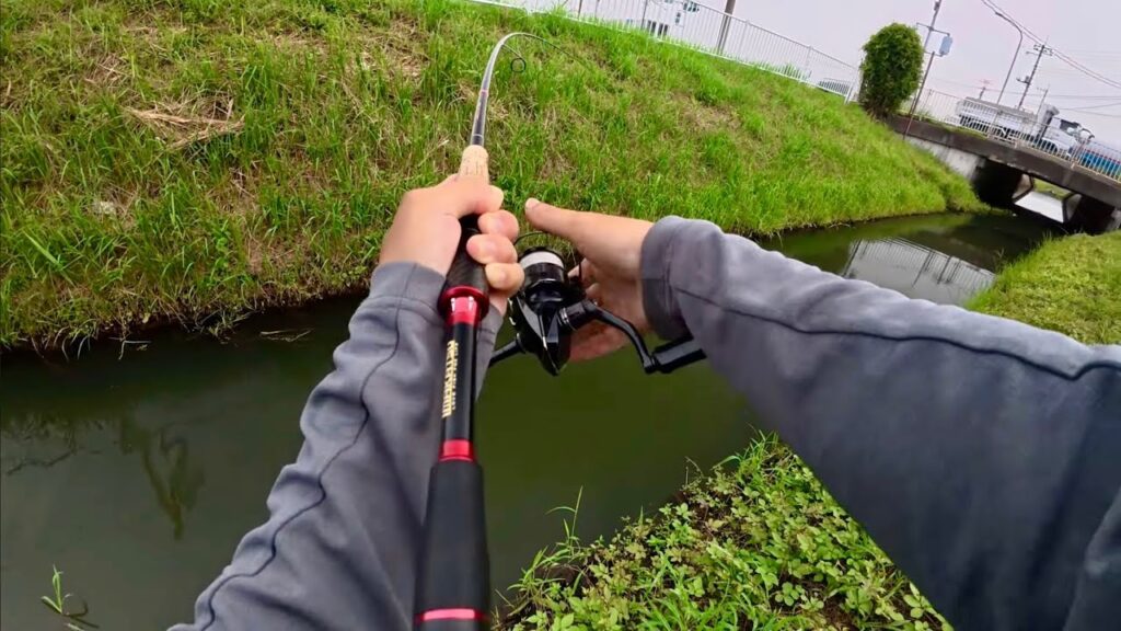 【柴山沼】減水間近で子バスがうようよいる中の貴重な一本！【バス釣り】