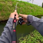 【柴山沼】減水間近で子バスがうようよいる中の貴重な一本！【バス釣り】