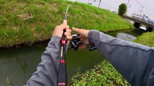 【柴山沼】減水間近で子バスがうようよいる中の貴重な一本！【バス釣り】