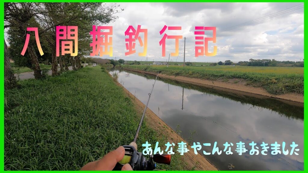 【バス釣り】野田の八間掘で釣行してみました。あいつも昼間から出てきてビックリ。