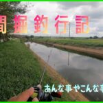 【バス釣り】野田の八間掘で釣行してみました。あいつも昼間から出てきてビックリ。