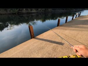 表浜名湖の良型ハゼ釣り穴場かも🐟【浜名湖釣り】🎣