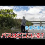 利根川釣行記　急激な増水後　バスはどこにいる？