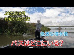 利根川釣行記 急激な増水後 バスはどこにいる?