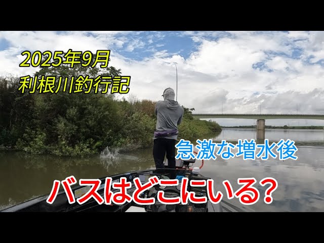 利根川釣行記　急激な増水後　バスはどこにいる？