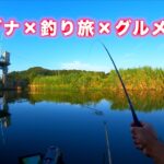 ようこそ！ヘラブナ釣り天国・千葉県へ