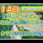 シブい時の海の中ってどうなってるの？【浜名湖　釣り】
