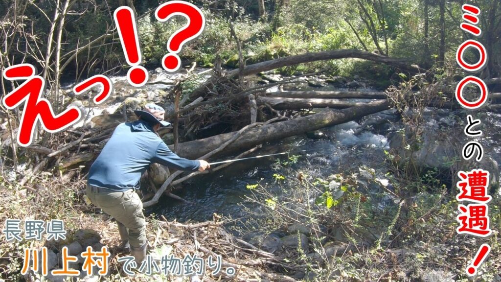 えっ！？  今のは何？？ ミ〇〇と遭遇！！  巨大ス〇〇バ〇の巣も！   初魚種も釣れたー！   長野県 川上村で小物釣り。