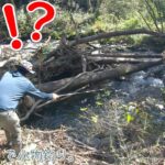 えっ！？  今のは何？？ ミ〇〇と遭遇！！  巨大ス〇〇バ〇の巣も！   初魚種も釣れたー！   長野県 川上村で小物釣り。