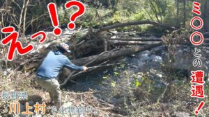 えっ!? 今のは何?? ミ〇〇と遭遇!! 巨大ス〇〇バ〇の巣も! 初魚種も釣れたー! 長野県 川上村で小物釣り。