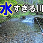 台風の大雨直後に渓流釣りの穴場ポイントに行ってみたら…