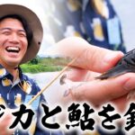 【川釣り】東京の川で高級魚を釣ってみた！