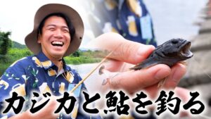 【川釣り】東京の川で高級魚を釣ってみた！