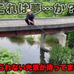 【釣り人を見た事が無い川】でバス釣りしてみたら夢のような楽園を見つけてしまった
