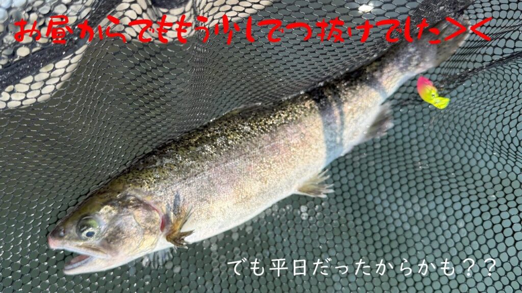 【朝霞ガーデン】８月２１日釣行記録【エリアトラウト】