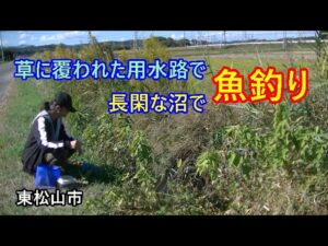 秋の東松山市で楽しい魚釣り♪小物がたくさん釣れる♪