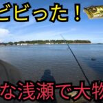 浜名湖の激浅ポイントでの釣りがドキドキだった！