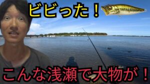 浜名湖の激浅ポイントでの釣りがドキドキだった！