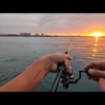 今週何回動画をボツにしたか…これでも執念の青物【浜名湖釣り】🎣