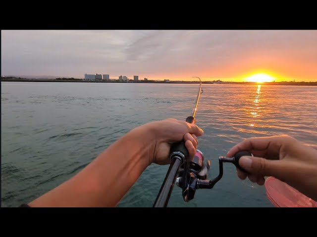 今週何回動画をボツにしたか…これでも執念の青物【浜名湖釣り】🎣