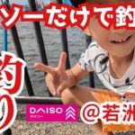 全くの素人親子でも、ダイソーだけで最高すぎた!