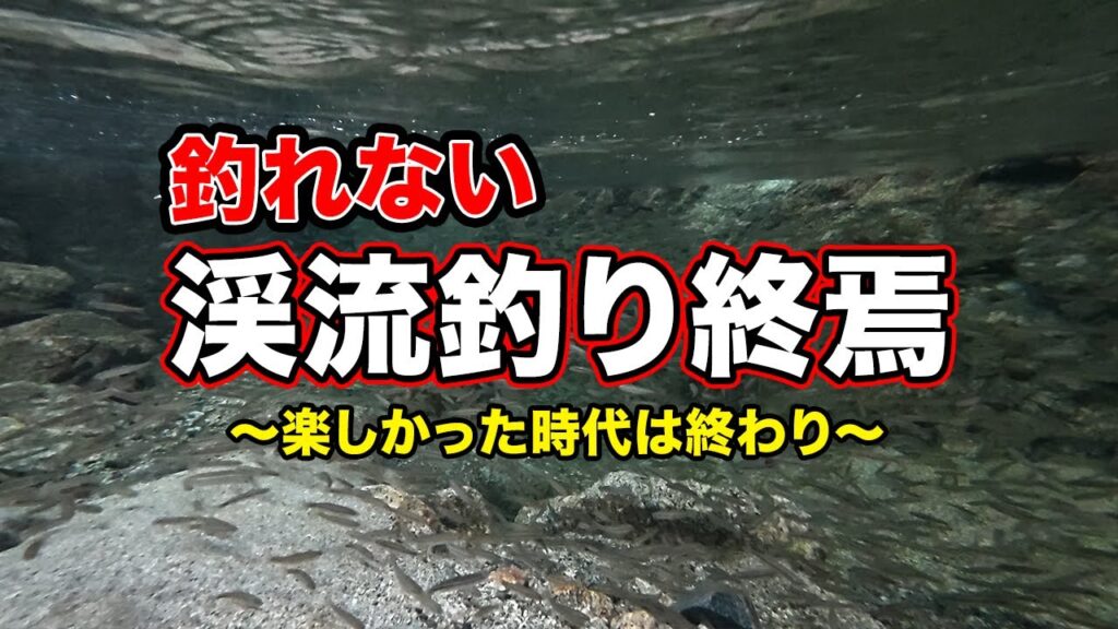 【渓流釣りは終わり】釣れない。爆釣だった川が環境悪化で永遠にさらば。天然アマゴの楽しかった里川の時代は終わり