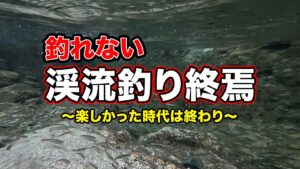 【渓流釣りは終わり】釣れない。爆釣だった川が環境悪化で永遠にさらば。天然アマゴの楽しかった里川の時代は終わり