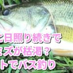 ミミズ枯渇問題、入間川と島田湖で釣り
