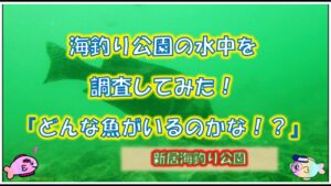浜名湖 釣り 水中カメラをおろしてみた!