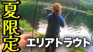 非日常の釣り体験!【夏限定】夜明け前から始まる暗闇エリアトラウト