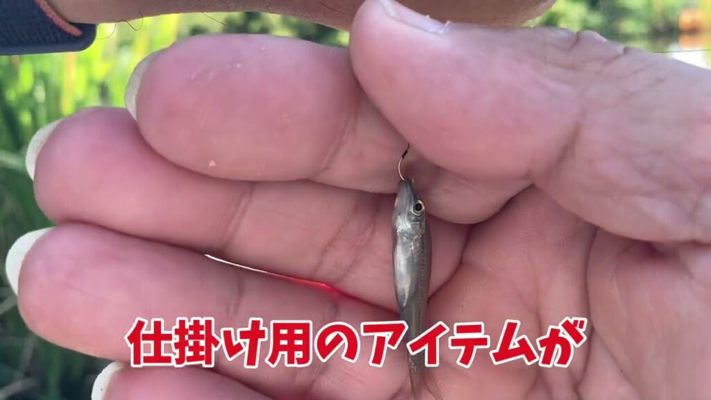 手賀沼で小物釣り「夏は川筋だと聞いたので」