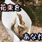 【エリアトラウト】釣って！食べて！秋川国際！【秋川国際マス釣り場】