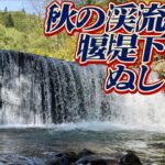 秋の渓流釣り〜堰堤下にてぬし現る【渓流釣り北海道】
