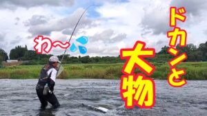 鮎釣り 九州の大鮎は全てが異次元でした／熊本県川辺川