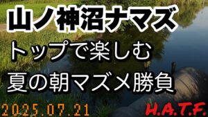 山ノ神沼へナマズリベンジは朝マズメ短時間勝負の巻