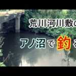 荒川河川敷の沼で釣る。ここでの釣りは初♪【鴻巣市】