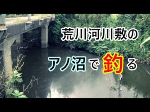 荒川河川敷の沼で釣る。ここでの釣りは初♪【鴻巣市】