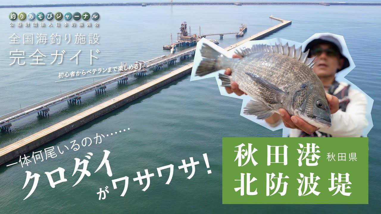 釣り場の実力検証!何匹いるのか……クロダイ湧く堤防へ!【秋田港釣り(北)防波堤】