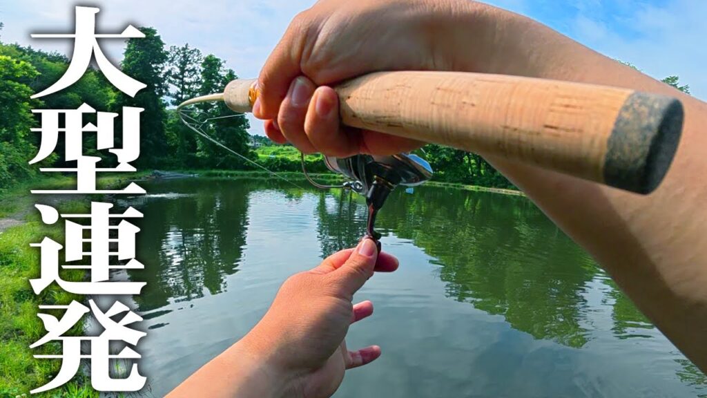 【穴場】大物天国の噂は本物でした...。この管理釣り場は"最高"です【エリアトラウト】【フィッシングエリアほのぼの】